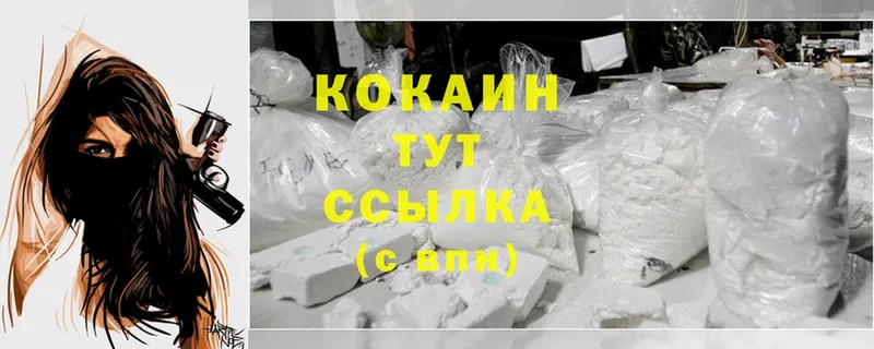 цены наркотик  Петушки  COCAIN FishScale 