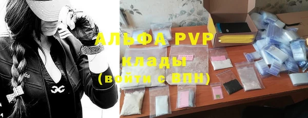 гидра Магас