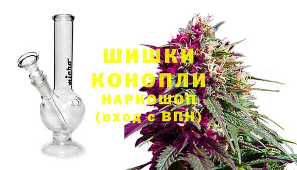 прущие грибы Лиски