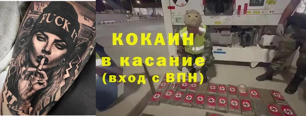 прущие грибы Лиски