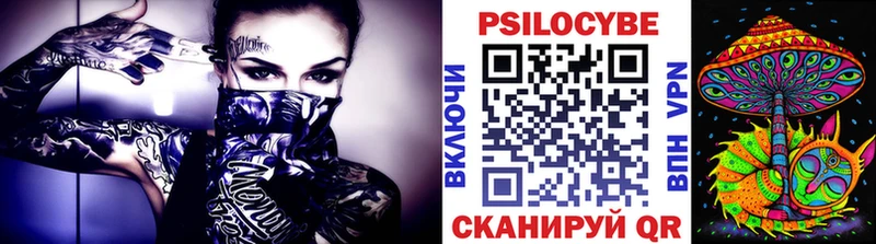 Псилоцибиновые грибы Psilocybe  Петушки 